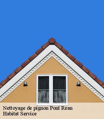 Nettoyage de pignon