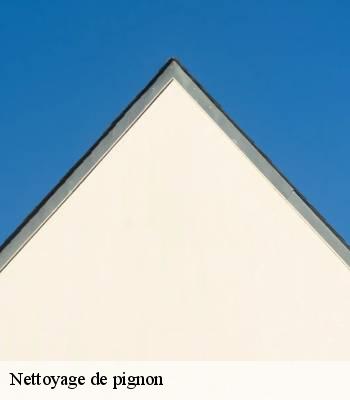 Nettoyage de pignon